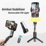 Handheld Gimbal-Stabilisator